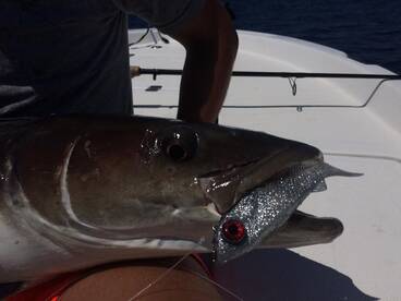 Beaufort Report Photo 2