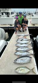 Offshore live bait action!