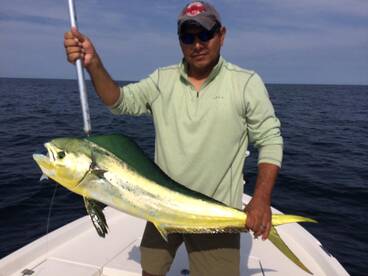 Beaufort Report Photo 2