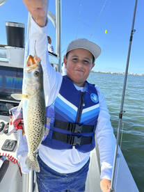 Sarasota Report Photo 1
