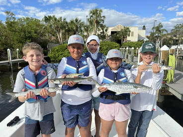 Sarasota Report Photo 2