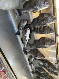 Biloxi bay is always on fire