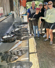 D'Iberville Report Photo 1