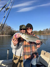 Jig bite is turning on