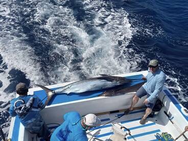 1 Marlin 2 Sailfish 