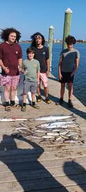 Sneads Ferry Report Photo 1