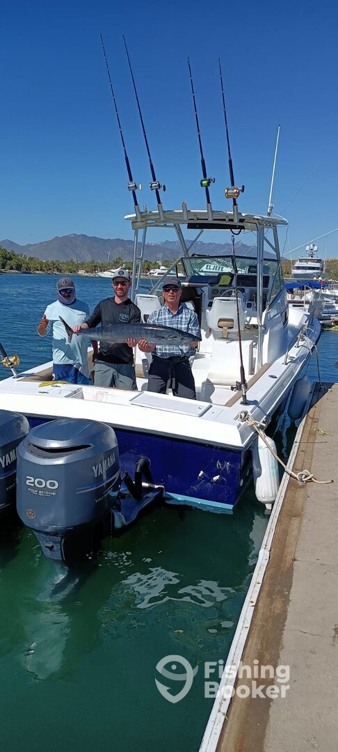San Jose del Cabo Report Photo 0
