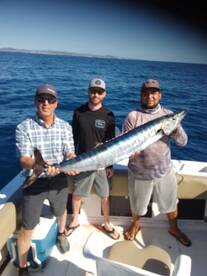 San Jose del Cabo Report Photo 2