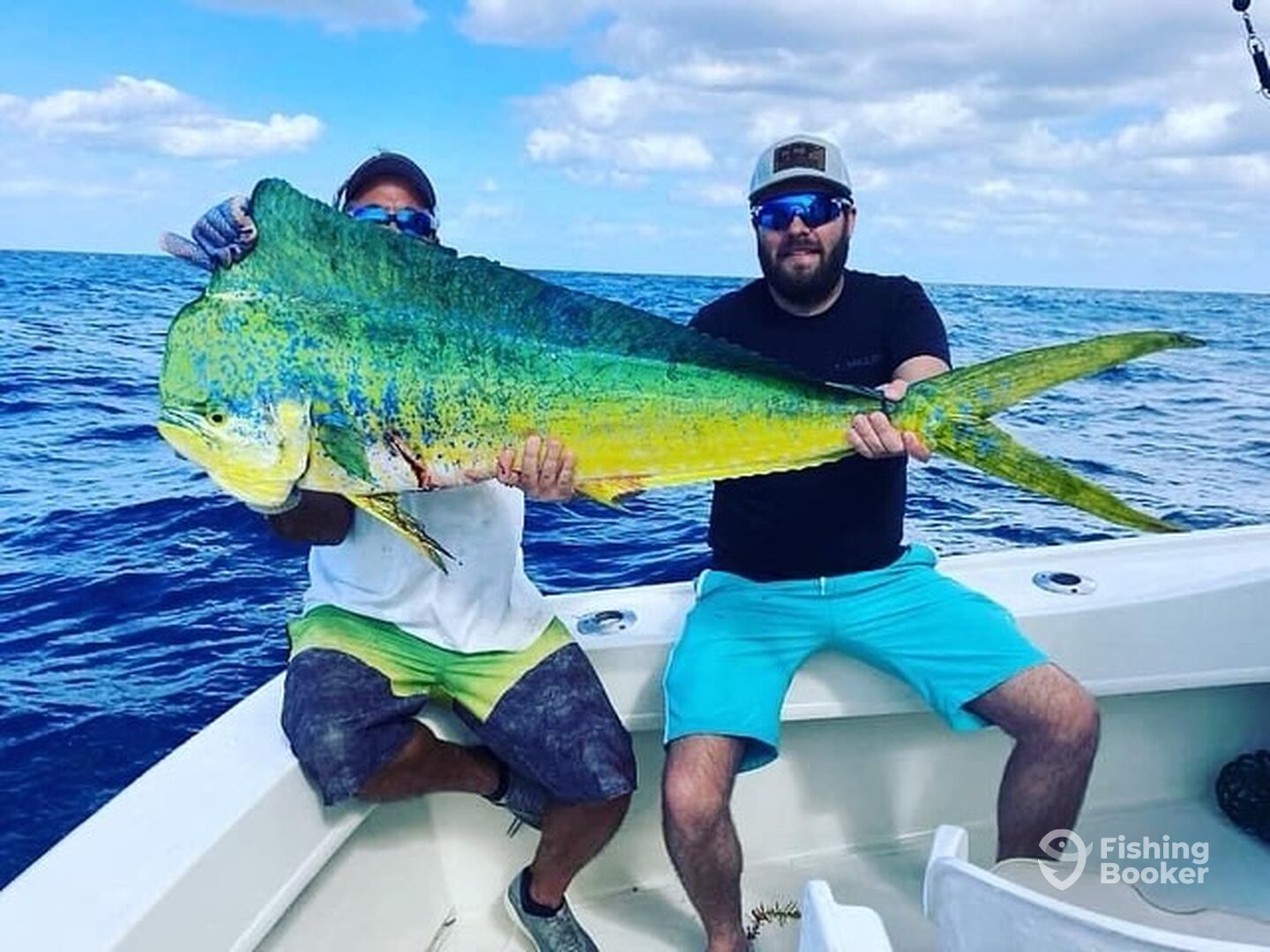 Fort Lauderdale Report Photo 0
