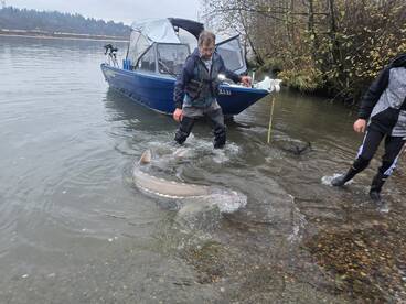 North Vancouver Report Photo 1