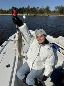 Lafitte Report Photo 1