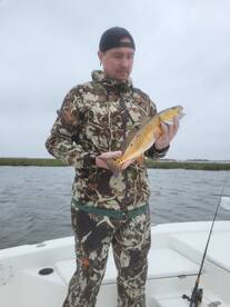 Lafitte Report Photo 1