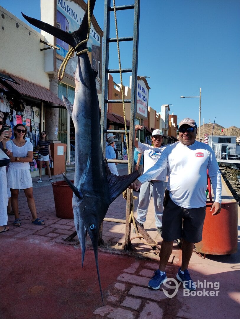 Cabo San Lucas Report Photo 0