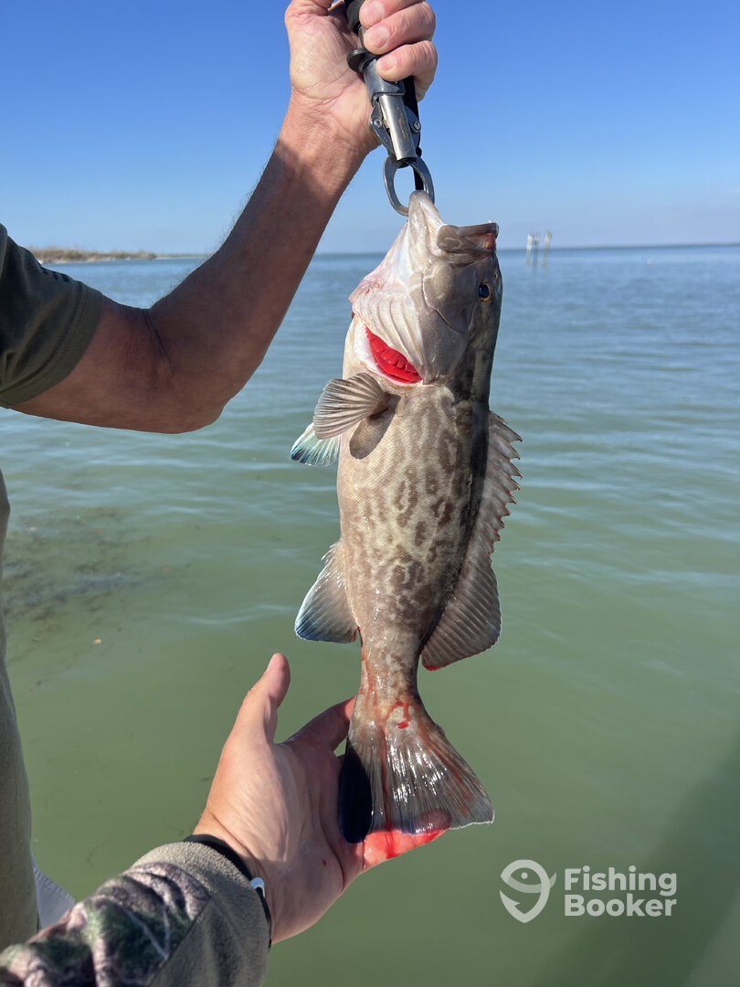 Fort Myers Report Photo 0