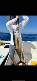 Punta Mita Report Photo 1