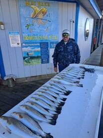 Homosassa Report Photo 1