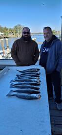 Homosassa Report Photo 2