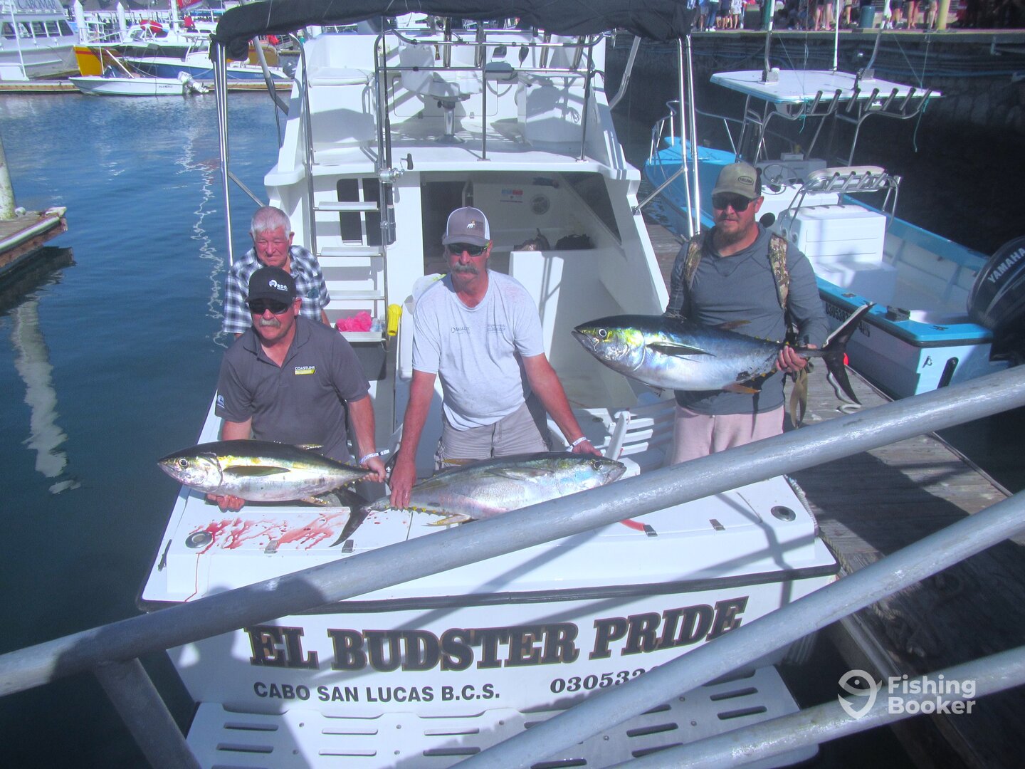 Cabo San Lucas Report Photo 0