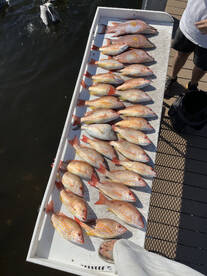 St. Petersburg Report Photo 2