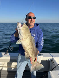 Palmetto Report Photo 2