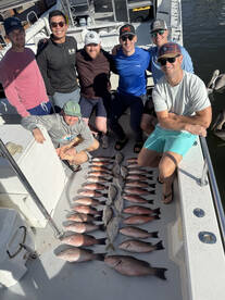 Great day snapper fishing on the All In!
