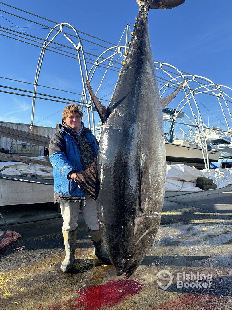 Morehead City Report Photo 0