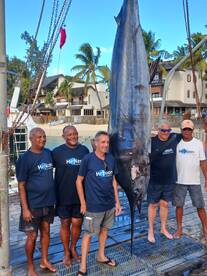 Big mamaaaaa,beautiful blue marlin estim