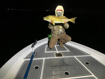 Another 30 fish night!