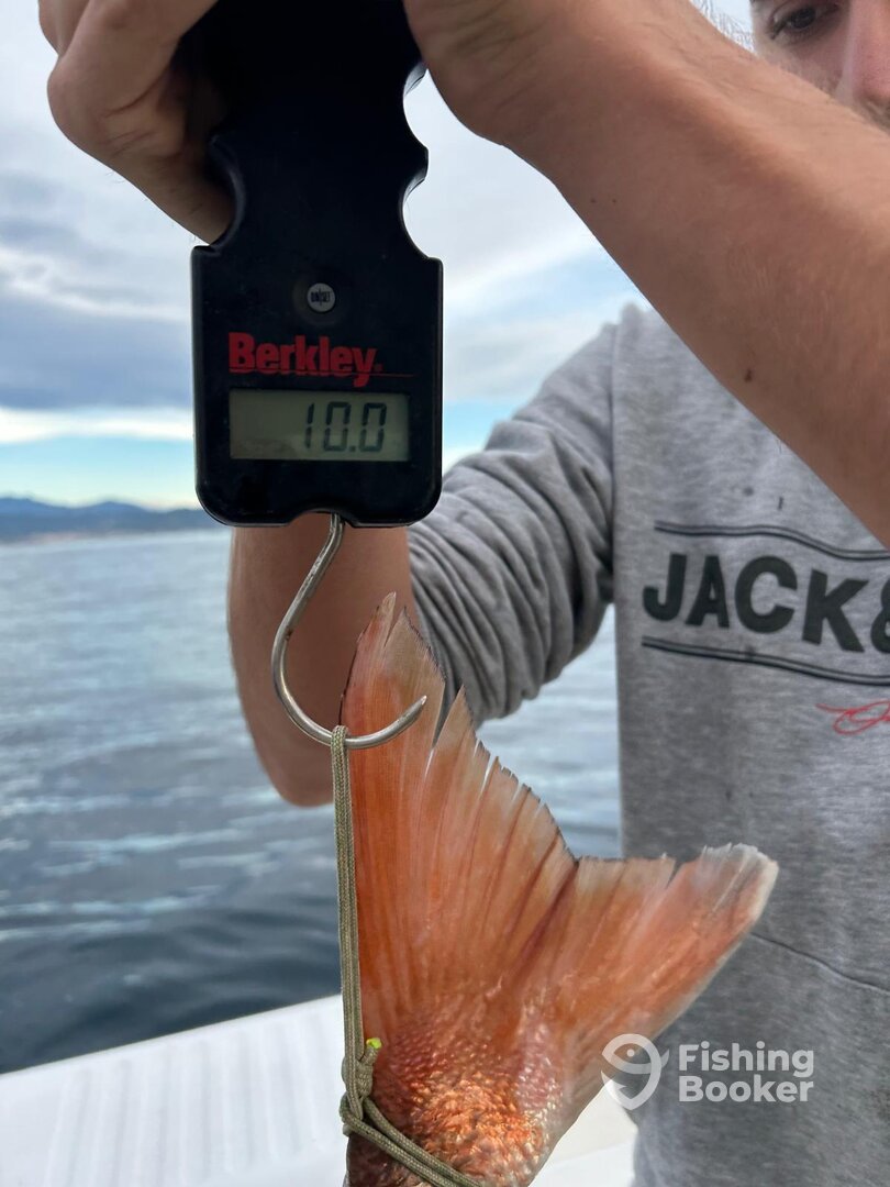 Barcelona Report Photo 0