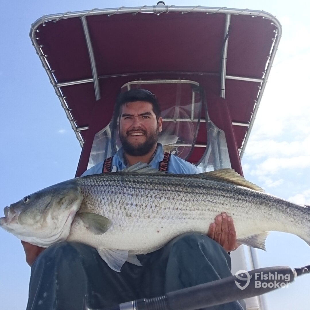 50 lber of the day