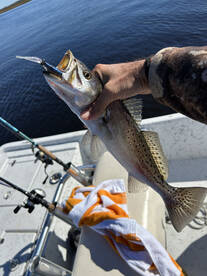 Jacksonville Report Photo 2