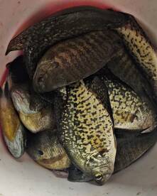 We're On Ice In Minnesota 