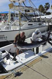 San Jose del Cabo Report Photo 2
