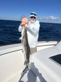 Keeper Cobia Landed By John Lynch 