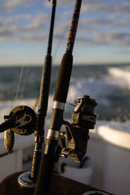 Avalon Report Photo 1