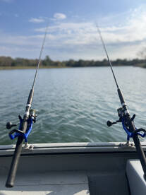 The carp army is chewing