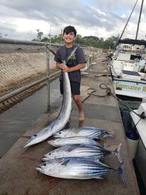 Haleiwa Report Photo 1