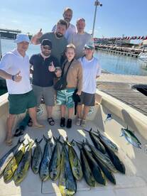 Mahi Mahi adventure