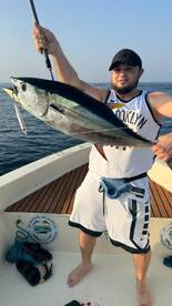 Fujairah Report Photo 2