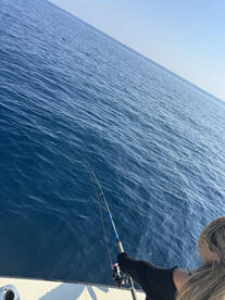 Fujairah Report Photo 2