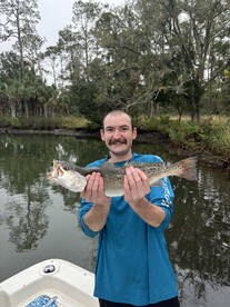 Spring Hill Report Photo 2