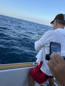 Mahi Mahi fight with our lovely guests f