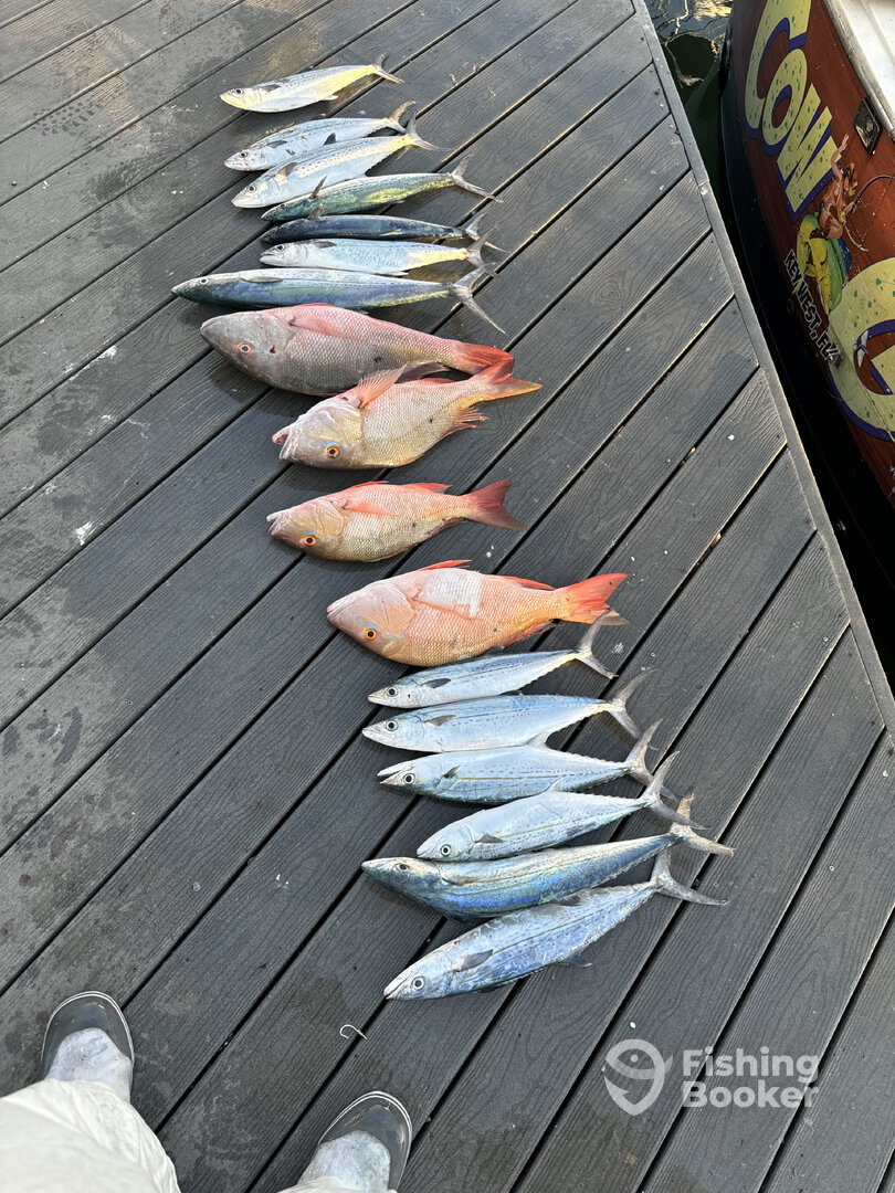 Key West Report Photo 0