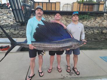 Sailfish fishing