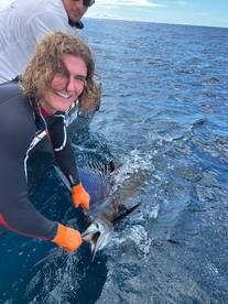 Sailfish action