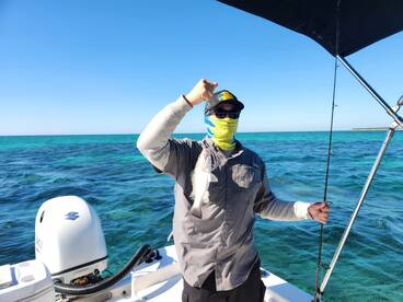 Sharks and snappers