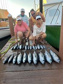 Dania Beach Report Photo 2