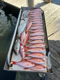 Dania Beach Report Photo 1