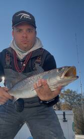 Trout fishing has been great! 