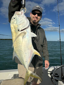 Giant Jacks are biting!!